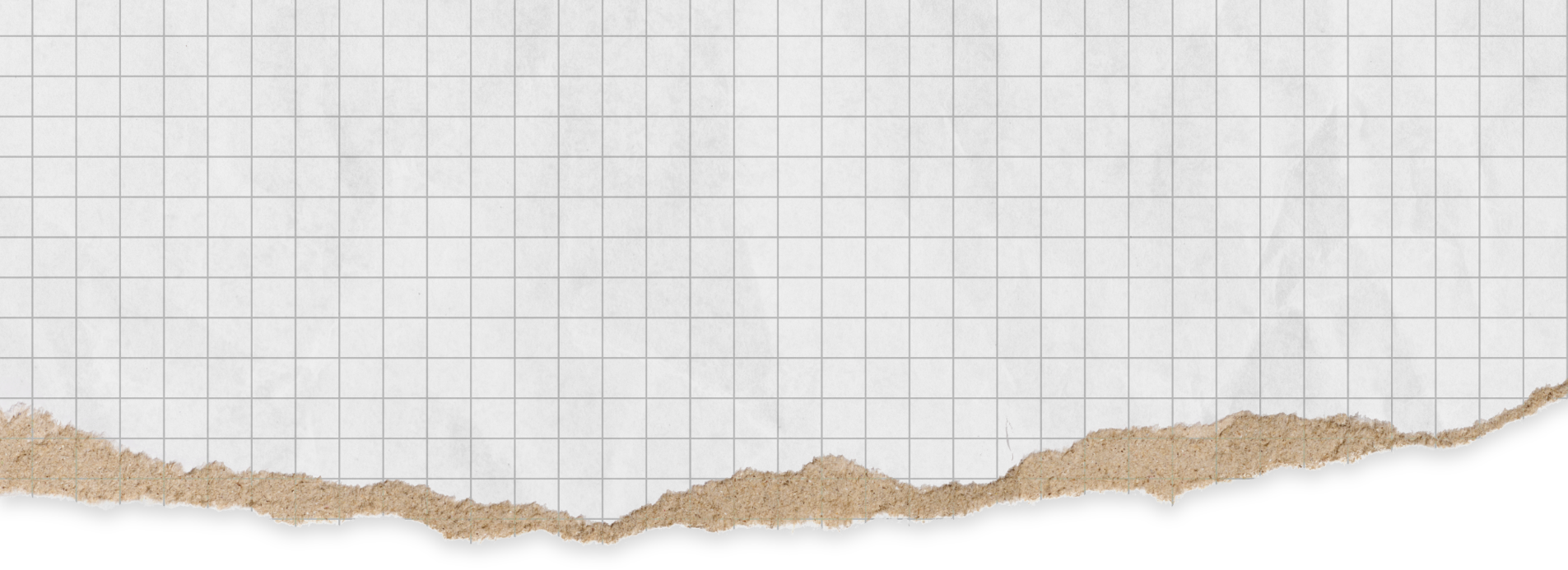 Background Willi Lopes